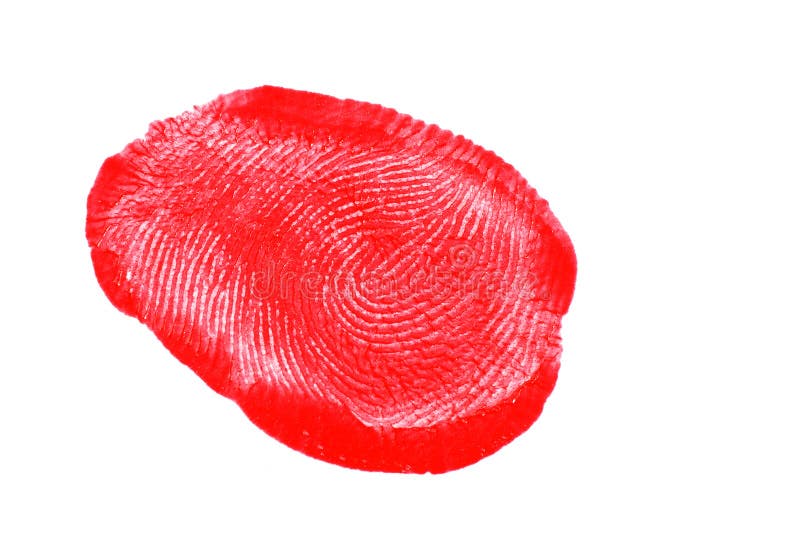 Red fingerprint over white background. Red fingerprint over white background