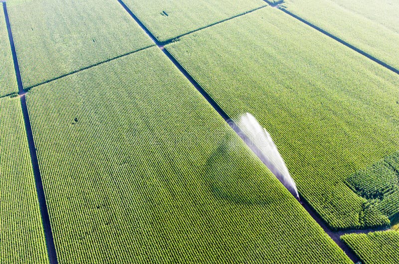 Fields of Midwest Corn being watered by spray irrigation aerial photography. Indiana aerial photo. Fields of Midwest Corn being watered by spray irrigation aerial photography. Indiana aerial photo.