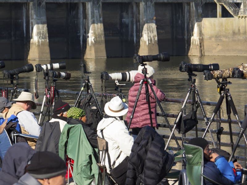 Фотографы на запруде Conowingo для ежегодной миграции орла стоковое изображение Фотографы на запруде Conowingo для ежегодной миграции орла стоковое изображение