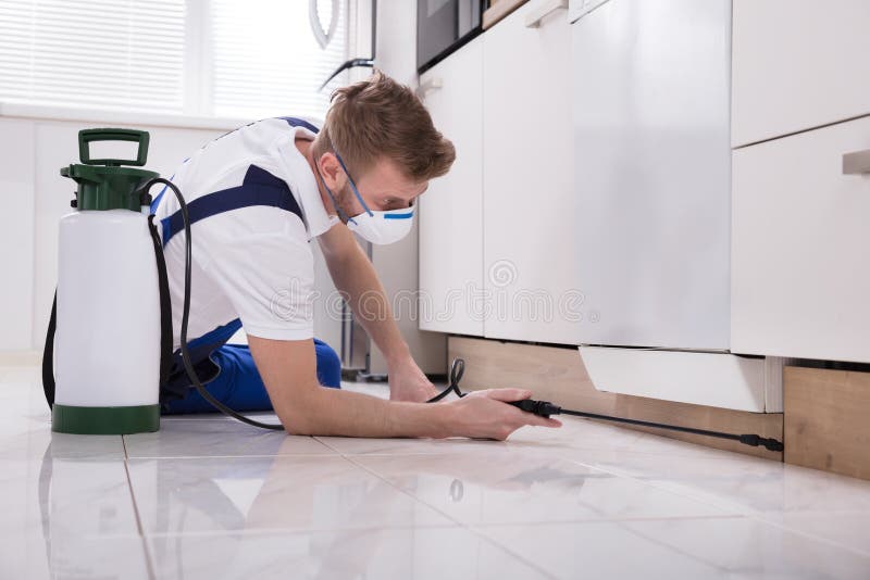 Химикат инсектицида работника Exterminator распыляя стоковые фото