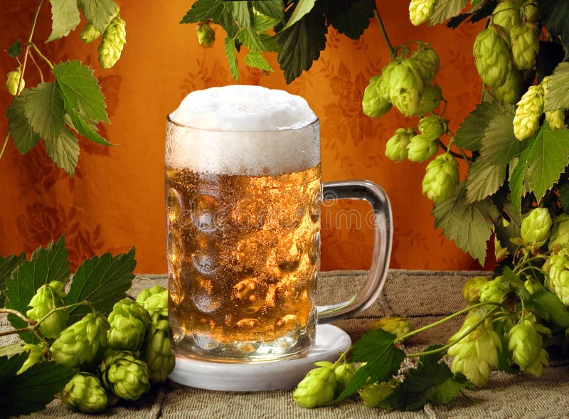 Still life with beer and hop plant in retro style. Still life with beer and hop plant in retro style