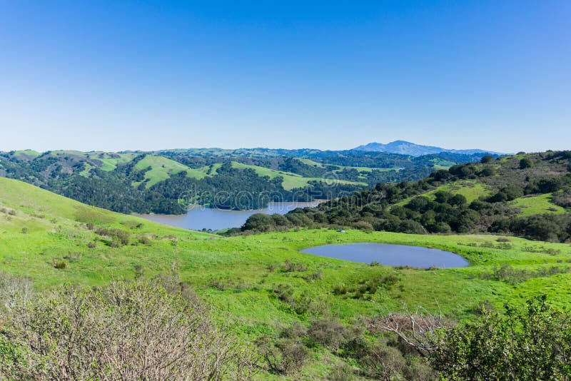 Hills and meadows in Wildcat Canyon Regional Park; San Pablo Reservoir; Mount Diablo in the background, east San Francisco bay, Contra Costa county, California. Hills and meadows in Wildcat Canyon Regional Park; San Pablo Reservoir; Mount Diablo in the background, east San Francisco bay, Contra Costa county, California