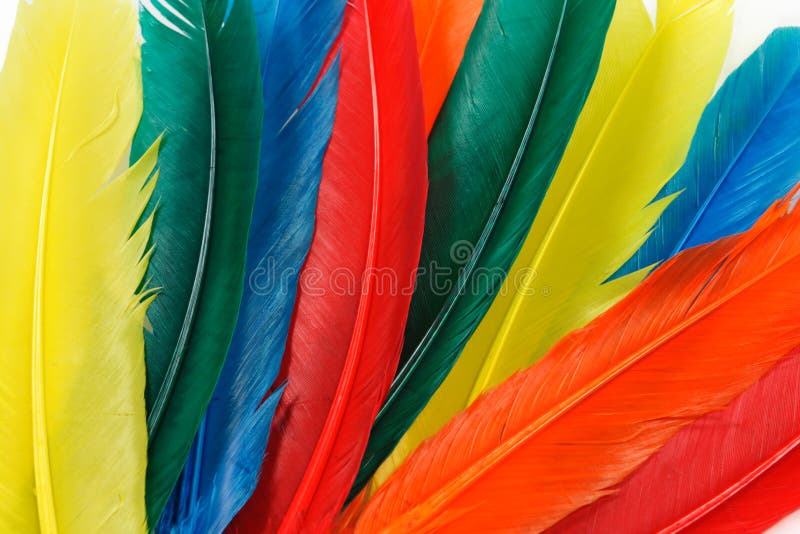 A view of a collection or cluster of brightly colored feathers. A view of a collection or cluster of brightly colored feathers.