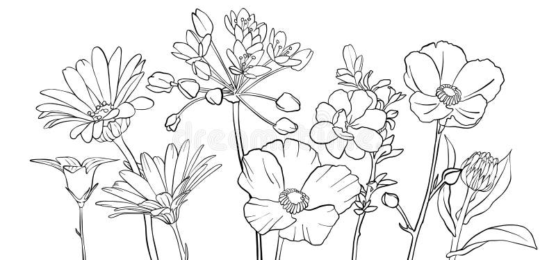 Черно белые рисунки цветов из Икеи
