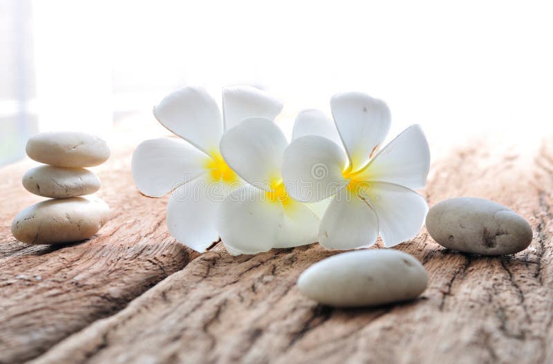 Цветок Frangipani с камнем Дзэн стоковое изображение rf Цветок Frangipani с камнем Дзэн стоковое изображение rf