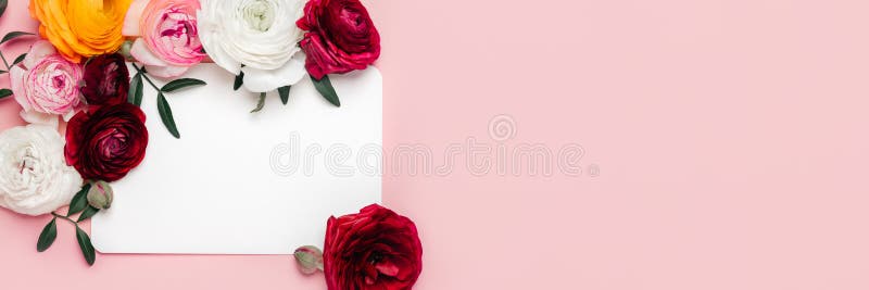 цветочные расцветки стоковая фотография rf
