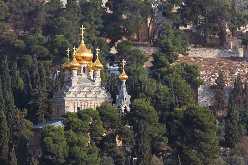 Golden domes of the Church of Mary Magdalene and cypresses. Mount of Olives, Jerusalem. Golden domes of the Church of Mary Magdalene and cypresses. Mount of Olives, Jerusalem