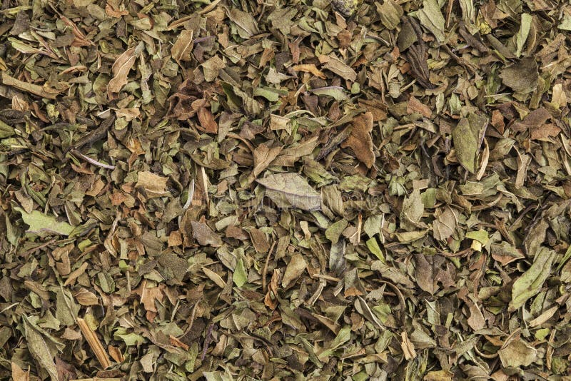 Background texture of organic loose leaf peppermint tea. Background texture of organic loose leaf peppermint tea