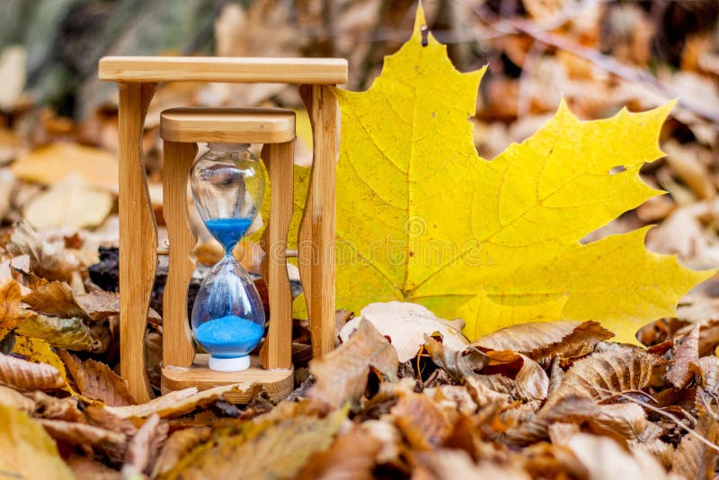 Часы и большой желтый кленовый лист на сухом leafs_ осени стоковые изображения