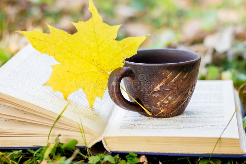 Чашка кофе и желтый кленовый лист на открытой книге в woods_ стоковые изображения