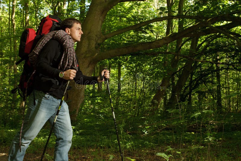 Man hiking through forested area alone with backpack. Man hiking through forested area alone with backpack