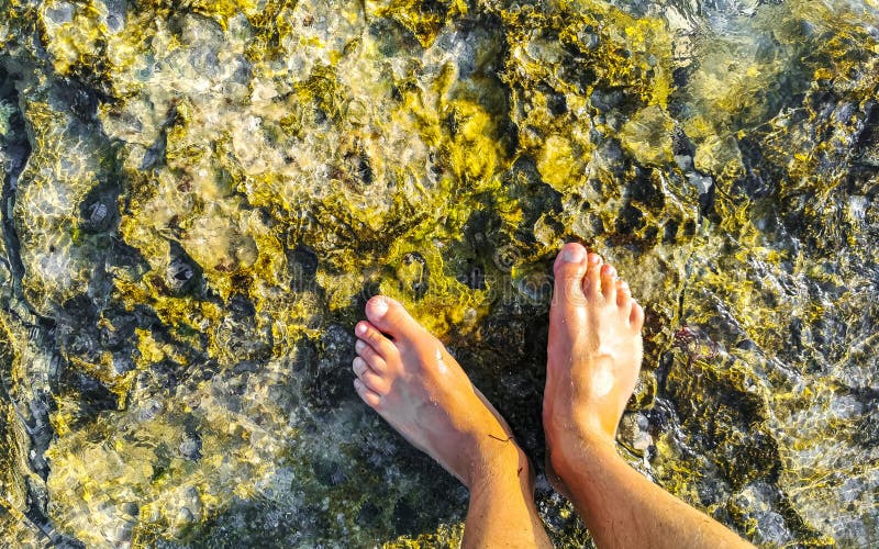человек ноги в воде на камнях скалы кораллы на пляже стоковые фото