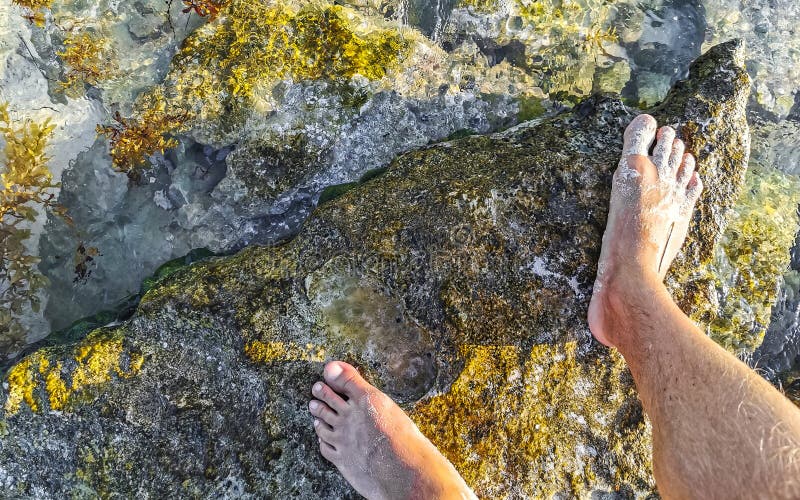 человек ноги в воде на камнях скалы кораллы на пляже стоковое изображение rf