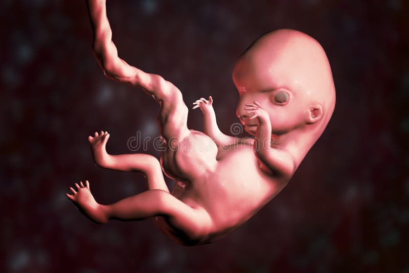 Positivo con embrion c