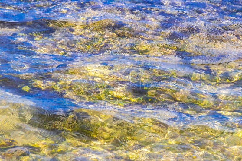 черепаха зелёная синяя вода с камнями кораллы пляж мексико стоковые изображения