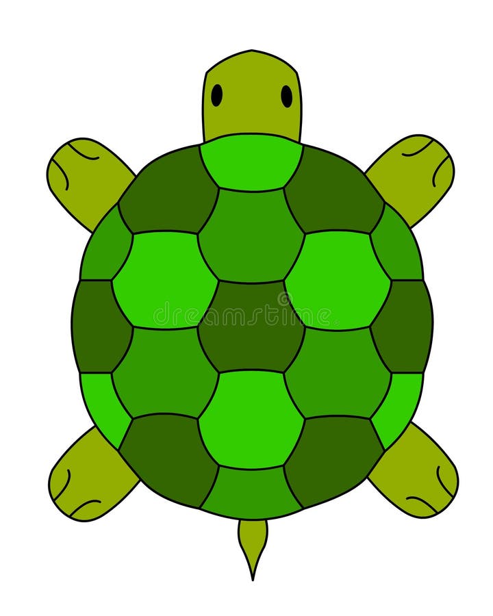 Land turtle, a vector illustration. Land turtle, a vector illustration