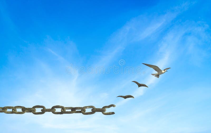 Silhouette old shackle transform to bird flying on beautiful blue sky background. Silhouette old shackle transform to bird flying on beautiful blue sky background.