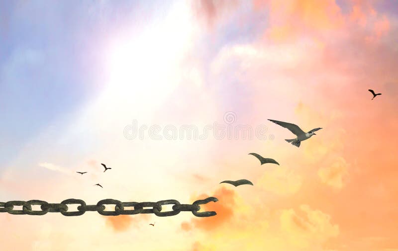 Silhouette old shackle transform to bird flying on beautiful sunset sky background. Silhouette old shackle transform to bird flying on beautiful sunset sky background