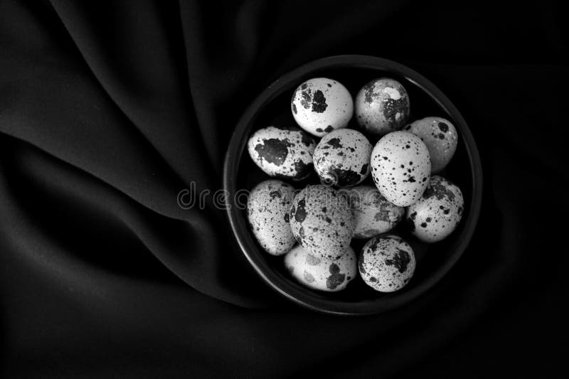 Wallpaper background conceptual photo with quail eggs on a black background . different shapes and colors objects. nature as a painter and a geometrical perfect forms. Wallpaper background conceptual photo with quail eggs on a black background . different shapes and colors objects. nature as a painter and a geometrical perfect forms.