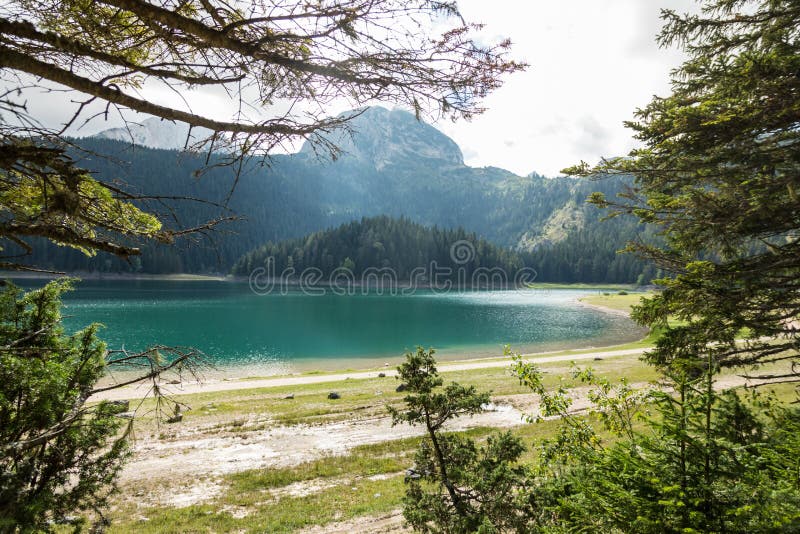 Черное jezero Crno озера, парк Durmitor, Черногория стоковое фото rf Черное jezero Crno озера, парк Durmitor, Черногория стоковое фото rf