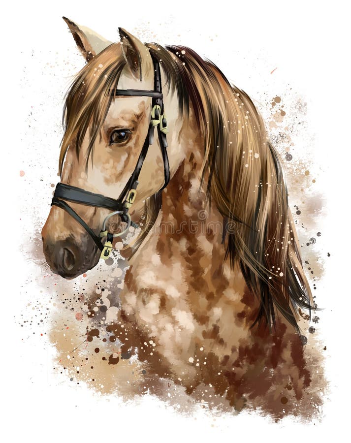 Horse head in grunge style watercolor painting. Horse head in grunge style watercolor painting