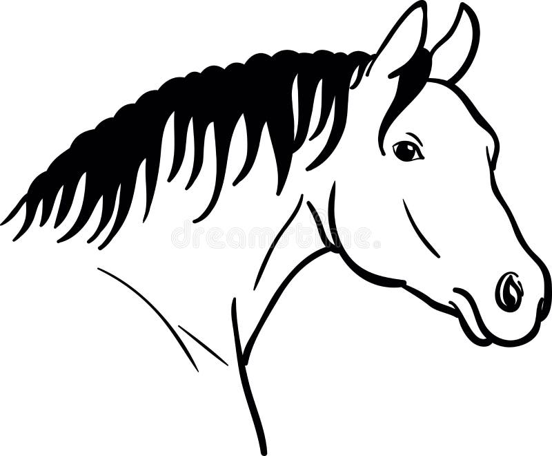 Dibujo de una cabeza de caballo