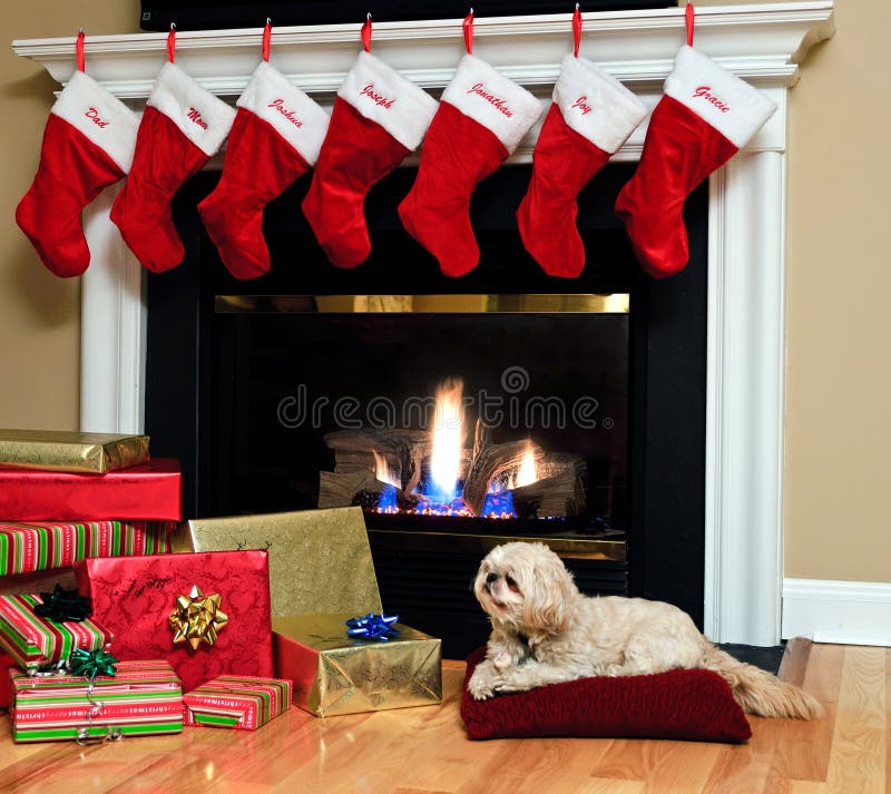 Red Christmas stockings hang from the mantle over a blazing fireplace on Christmas Eve, while a dog faithfully stands guard over a pile of Christmas presents. Red Christmas stockings hang from the mantle over a blazing fireplace on Christmas Eve, while a dog faithfully stands guard over a pile of Christmas presents.