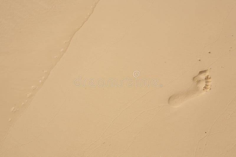 one barefoot footprint in the sand. one barefoot footprint in the sand