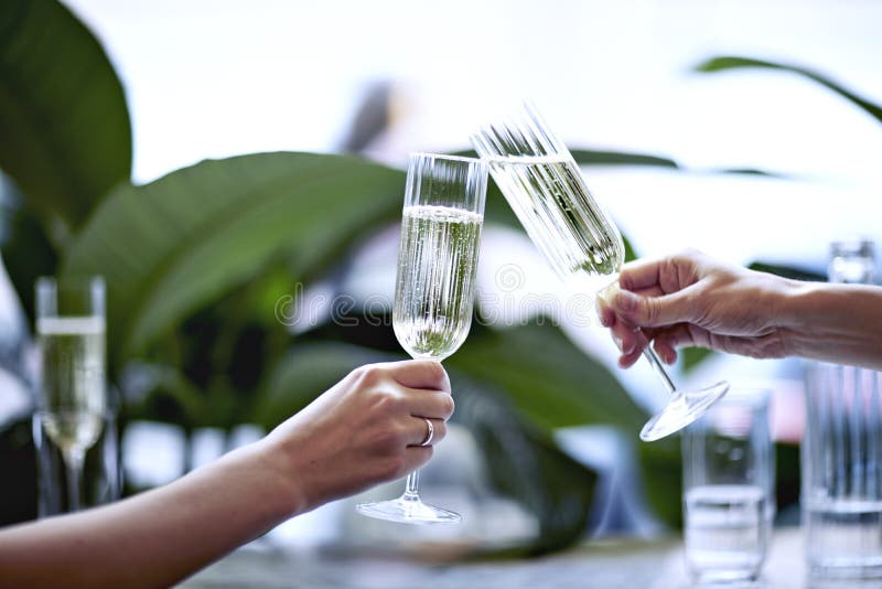 Шампань в красивом стекле Встречать в ресторане или кафе города Комнатные растения приближают к окну, дневному свету