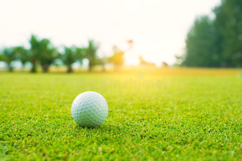 Golf ball on green in beautiful golf course with sunset. Golf ball close up in golf coures at Thailand. Golf ball on green in beautiful golf course with sunset. Golf ball close up in golf coures at Thailand