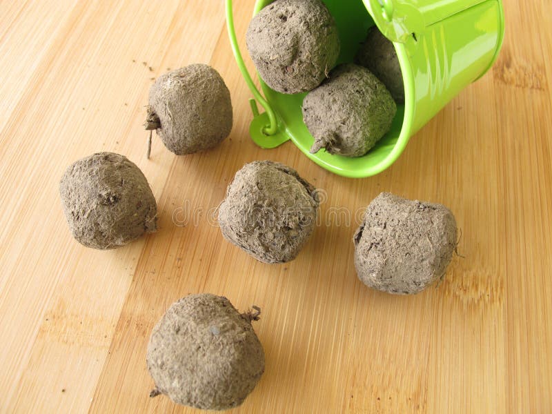 Seed balls and a small bucket. Seed balls and a small bucket