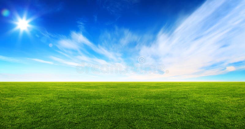 Wide image of green grass field and bright blue sky. Wide image of green grass field and bright blue sky