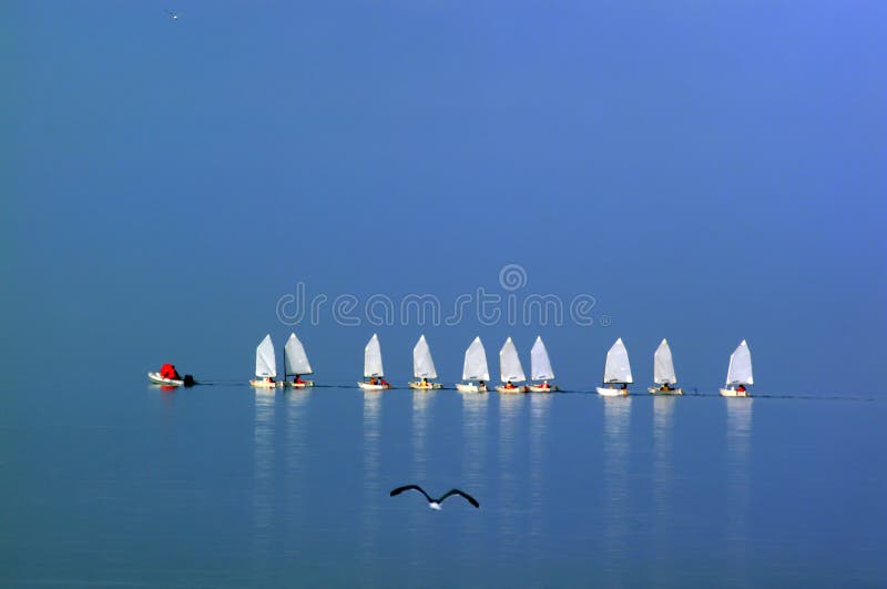 Small school -group of sailing boats on the sea. Small school -group of sailing boats on the sea