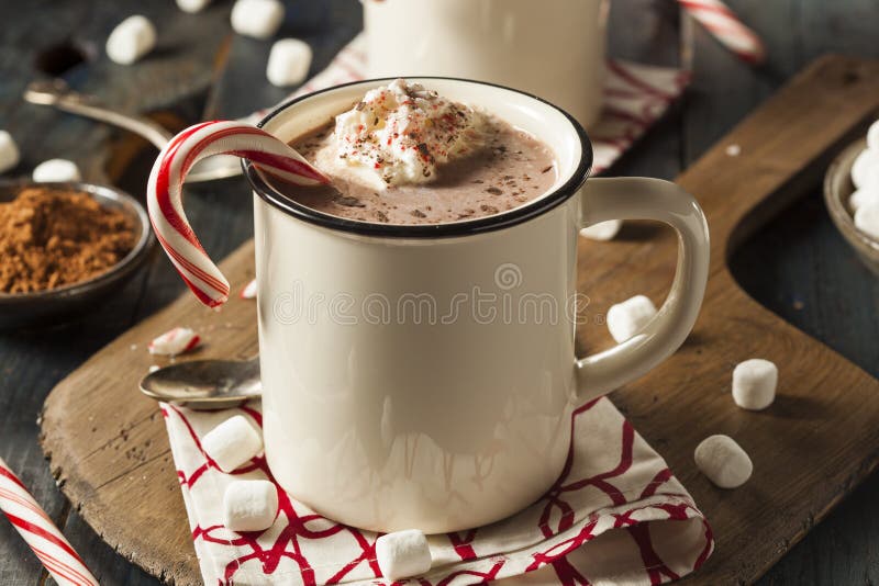 Homemade Peppermint Hot Chocolate with Whipped Cream. Homemade Peppermint Hot Chocolate with Whipped Cream