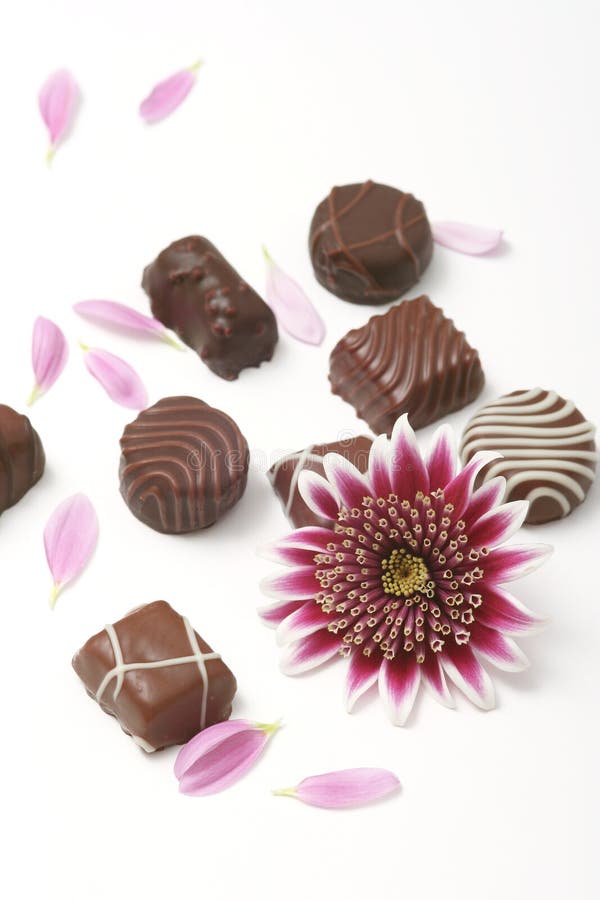 Chocolate candies and flower on white background. Chocolate candies and flower on white background.