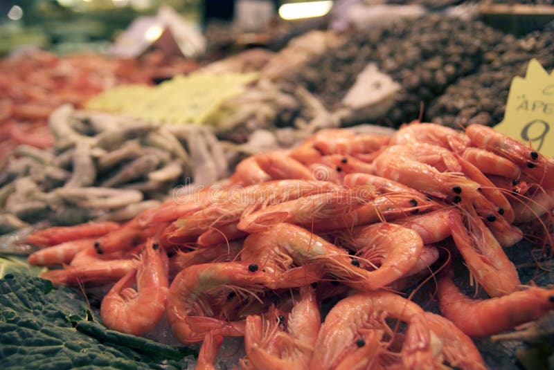 шримс свежего рынка boqueria стоковые фото