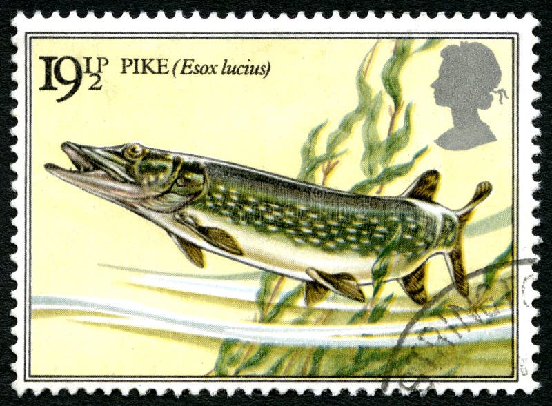 Штемпель почтового сбора Pike Великобритании стоковые фотографии rf Штемпель почтового сбора Pike Великобритании стоковые фотографии rf