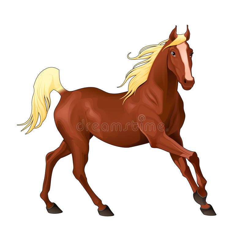 Elegant horse. Isolated vector animal. Elegant horse. Isolated vector animal.