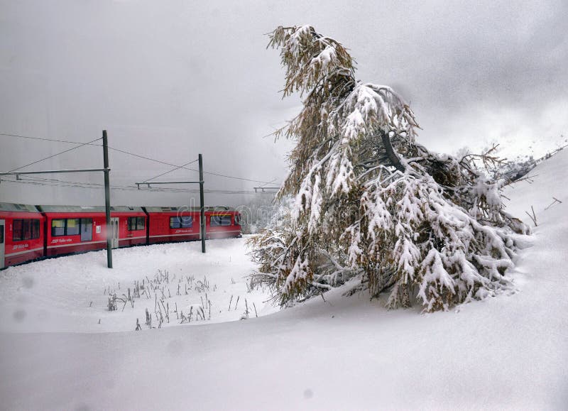 Экспресс Bernina и восхищать сценарный взгляд на швейцарских горных вершинах стоковая фотография Экспресс Bernina и восхищать сценарный взгляд на швейцарских горных вершинах стоковая фотография