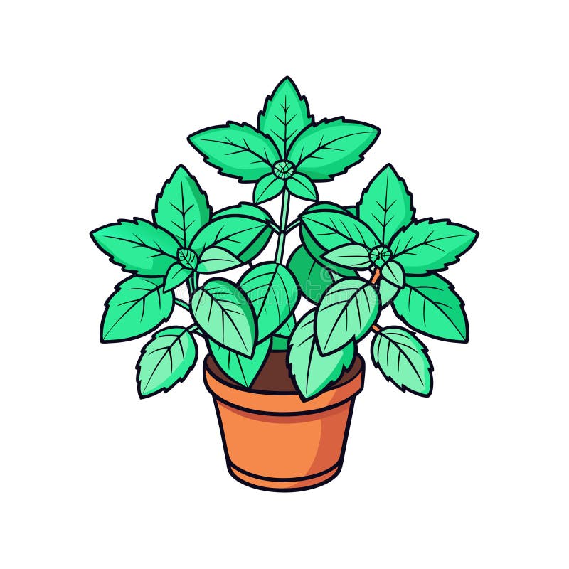Элегантная графика Apple Mint Plant иллюстрация штока