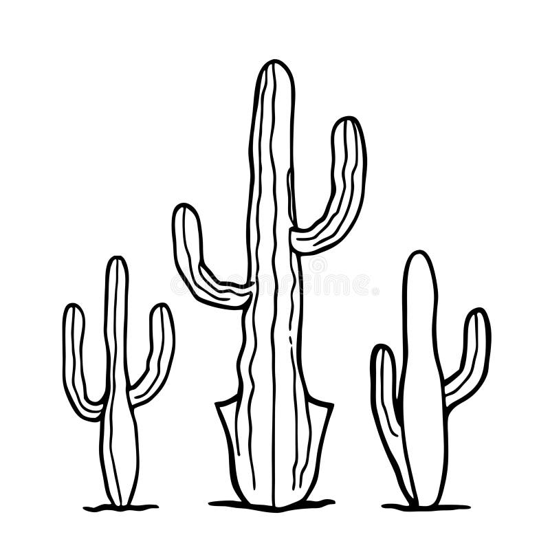 Элегантный Cactus Trio Line Art для домашнего декора и творческих проектов бесплатная иллюстрация
