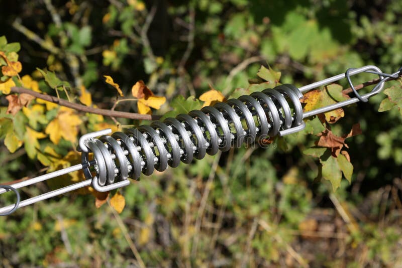 Electric fence gate protects a green grass pasture. Electric fence gate protects a green grass pasture.