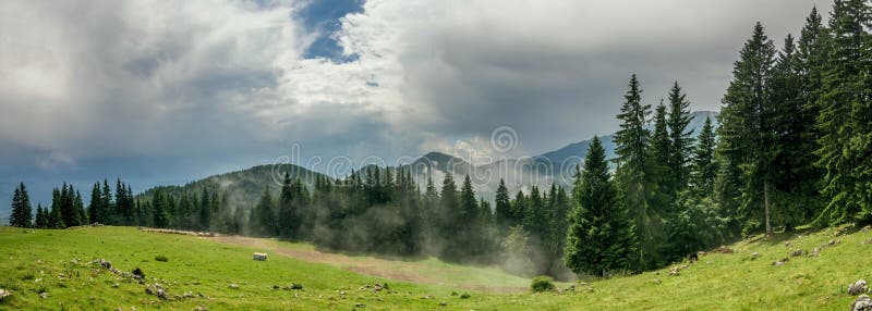 Эпичный пейзаж горы с голубым небом и соснами и туманом стоковая фотография rf Эпичный пейзаж горы с голубым небом и соснами и туманом стоковая фотография rf