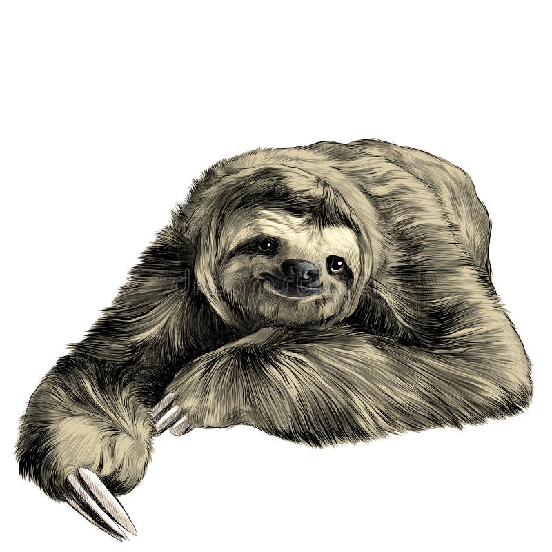 Sloth lies with crossed legs, looking right and smiling sweetly, sketch graphics color picture. Sloth lies with crossed legs, looking right and smiling sweetly, sketch graphics color picture