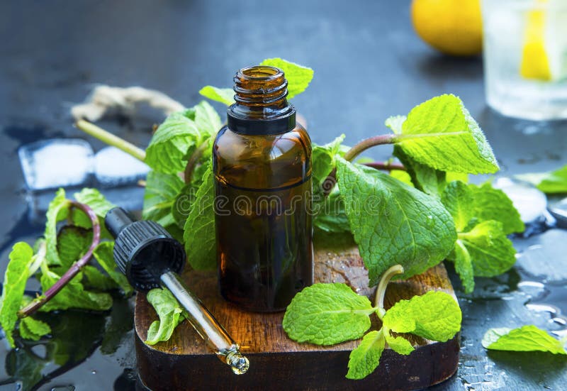 Mint essential oil in bottle .Fresh peppermint leaves with essential oil, alternative medicine. Mint essential oil in bottle .Fresh peppermint leaves with essential oil, alternative medicine