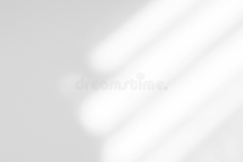 ю γοργική προσπίπτουσα σκιά σε λευκό τοίχο στοκ εικόνες