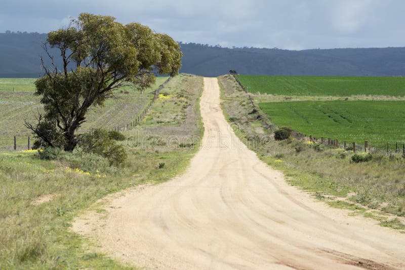 Южные австралийские грязные улицы страны, Murraylands стоковые фото Южные австралийские грязные улицы страны, Murraylands стоковые фото