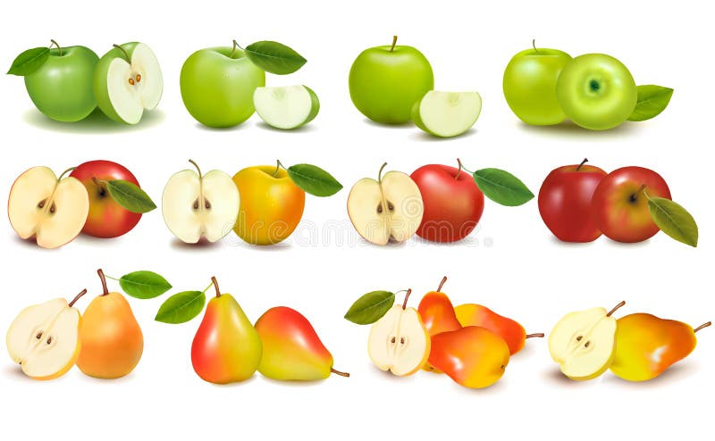 яблоко fruits зеленый комплект красного цвета груш иллюстрация вектора