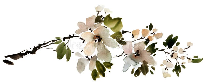 Яблочная ветвь иллюстрация штока. иллюстрации насчитывающей рука ...