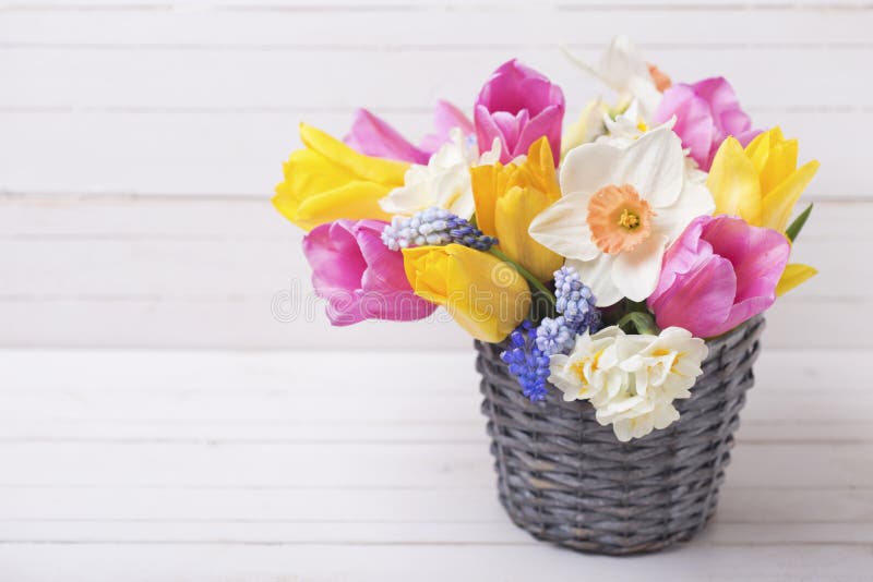 Яркие розовые, желтые и белые тюльпаны и daffodils весны пропускают стоковая фотография rf Яркие розовые, желтые и белые тюльпаны и daffodils весны пропускают стоковая фотография rf